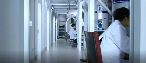 创新驱动，服务升级 本源量子计算机制造厂信息技术咨询服务再上新台阶